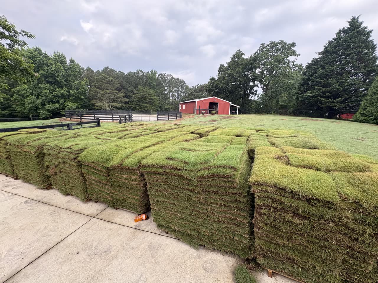 Pallets of fresh-cut sod delivered by FlowScapes GA
