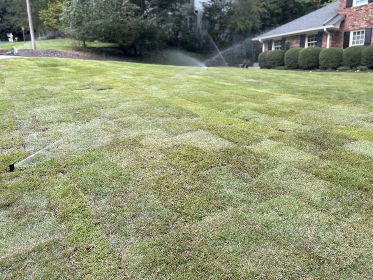 Rolling and watering the new sod